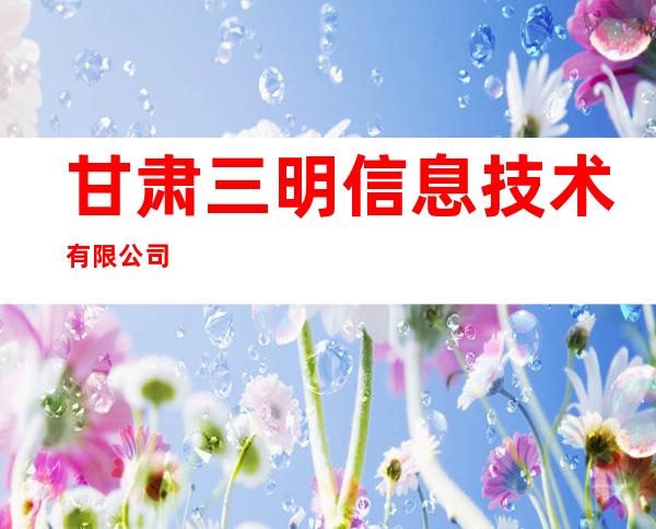 甘肃三明信息技术有限公司